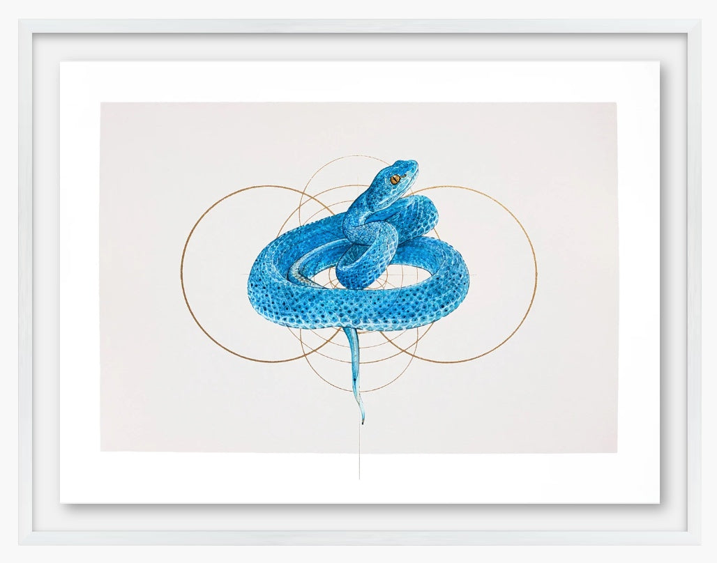 COSMIC SNAKE DiGiTAL PRiNT