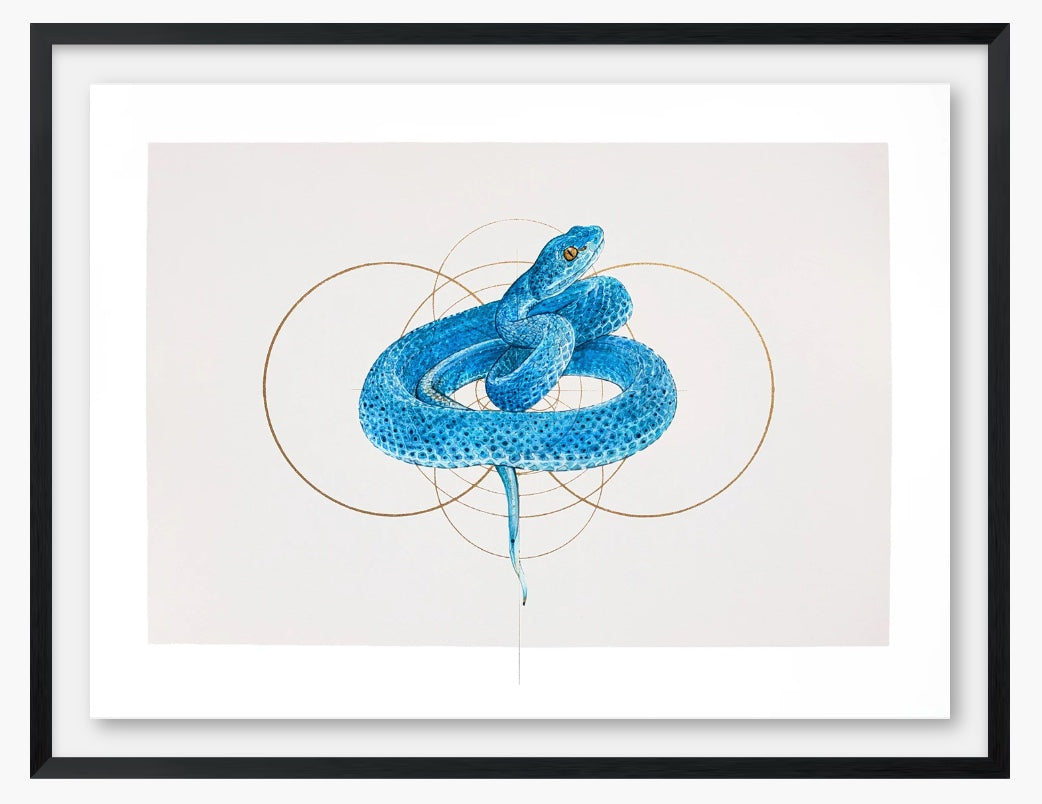 COSMIC SNAKE DiGiTAL PRiNT